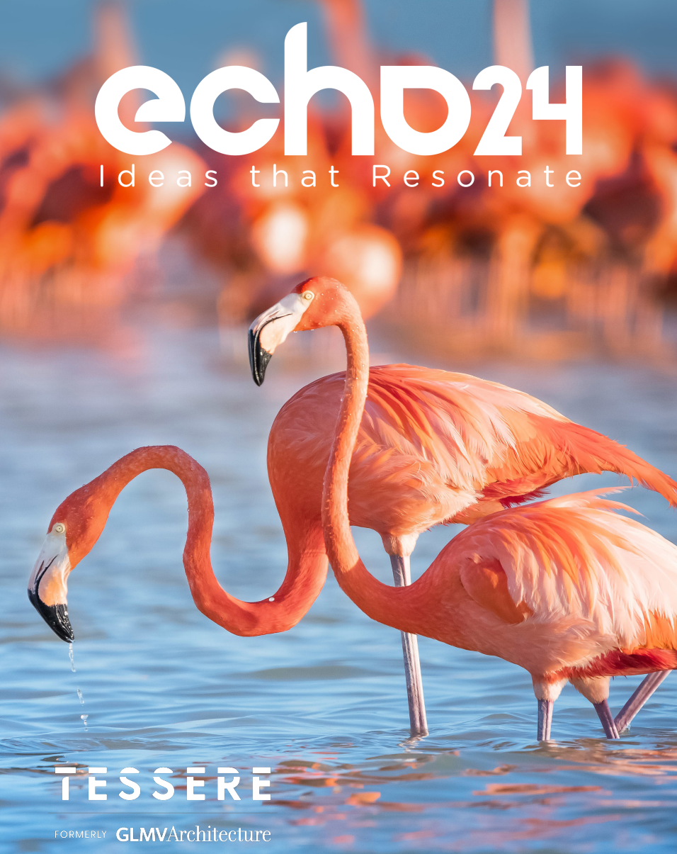 echo 24 recap cover